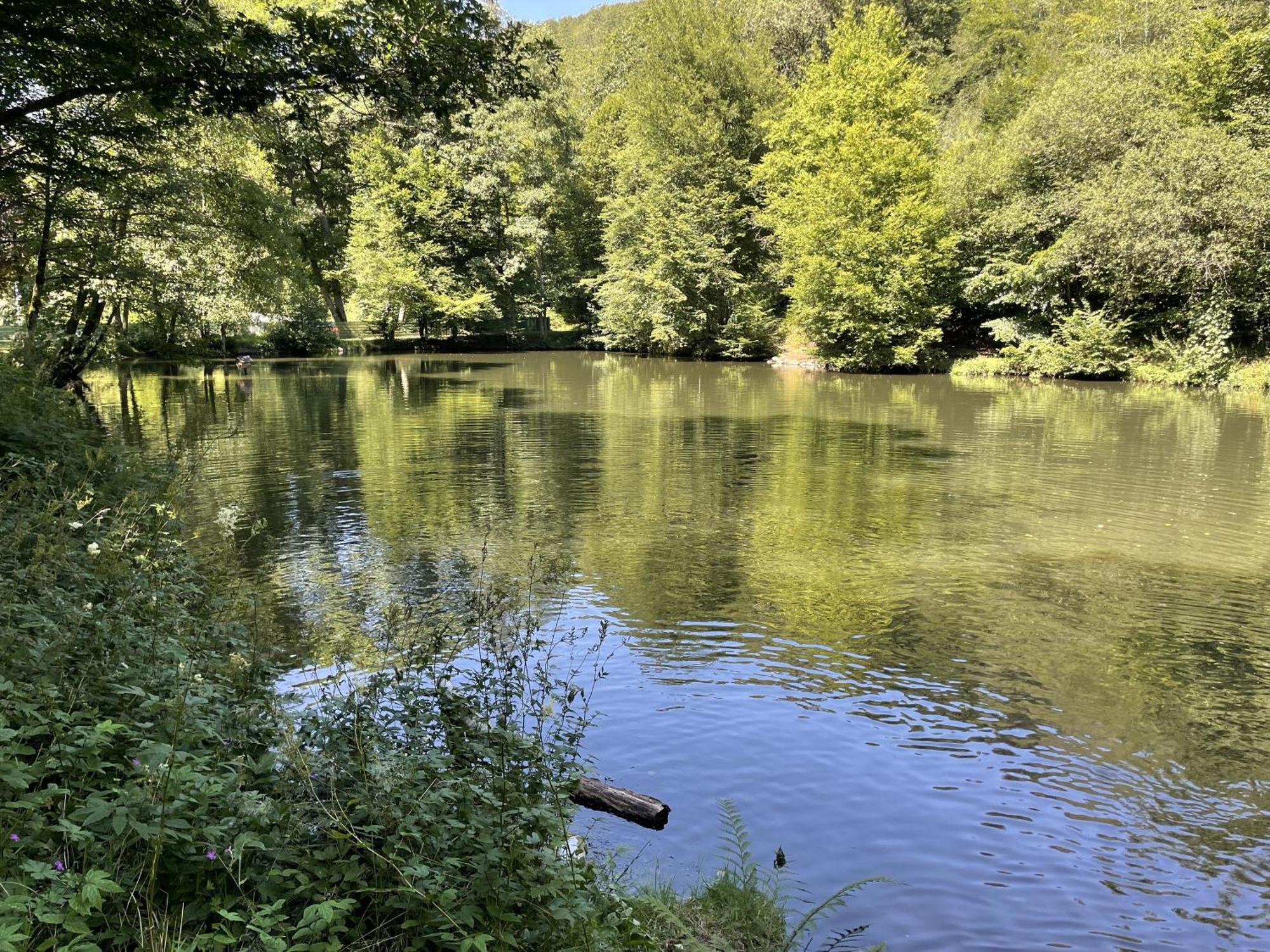 Gittas Paradiesperle Niederdreisbach Екстер'єр фото
