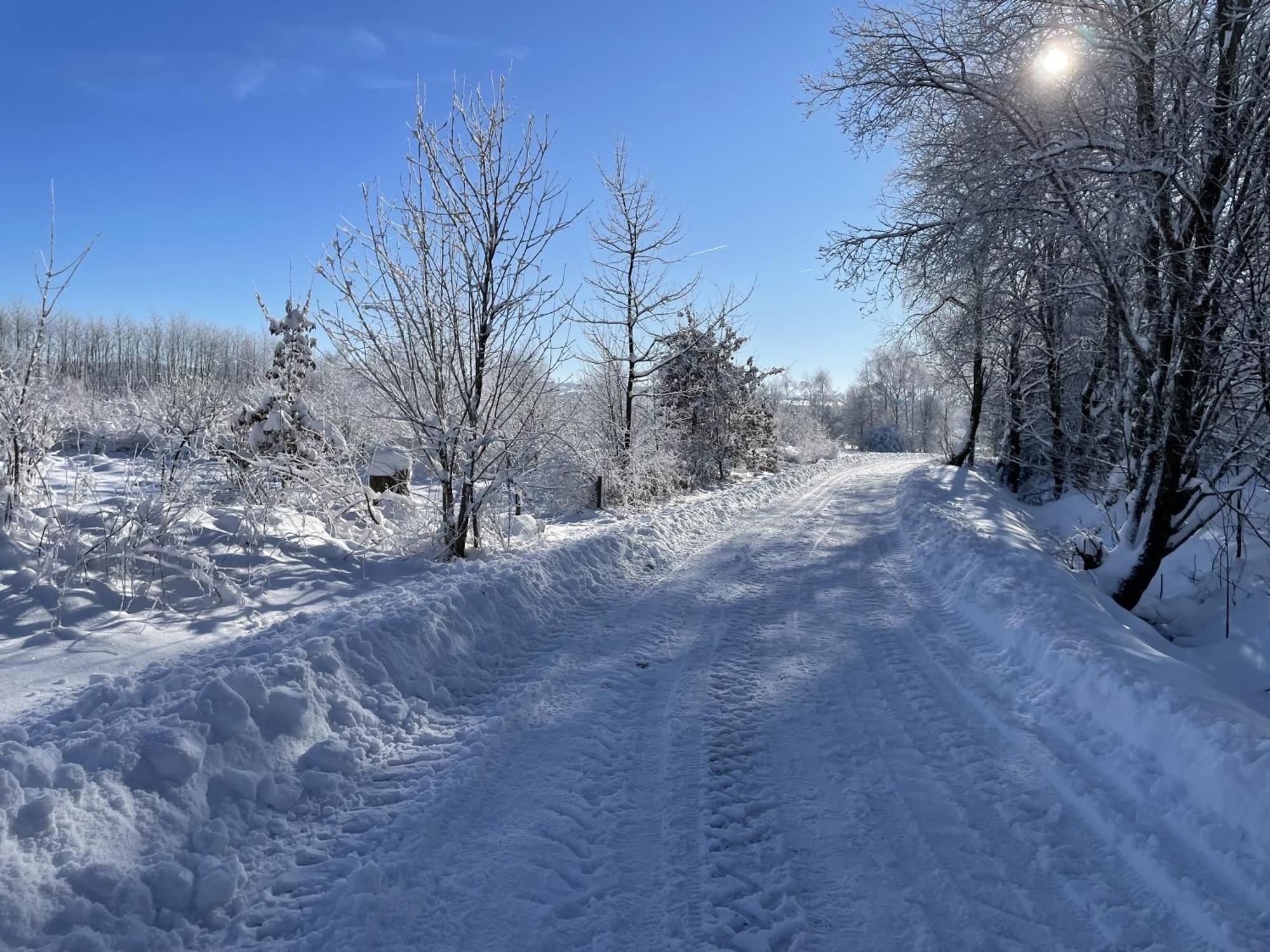 Gittas Paradiesperle Niederdreisbach Екстер'єр фото