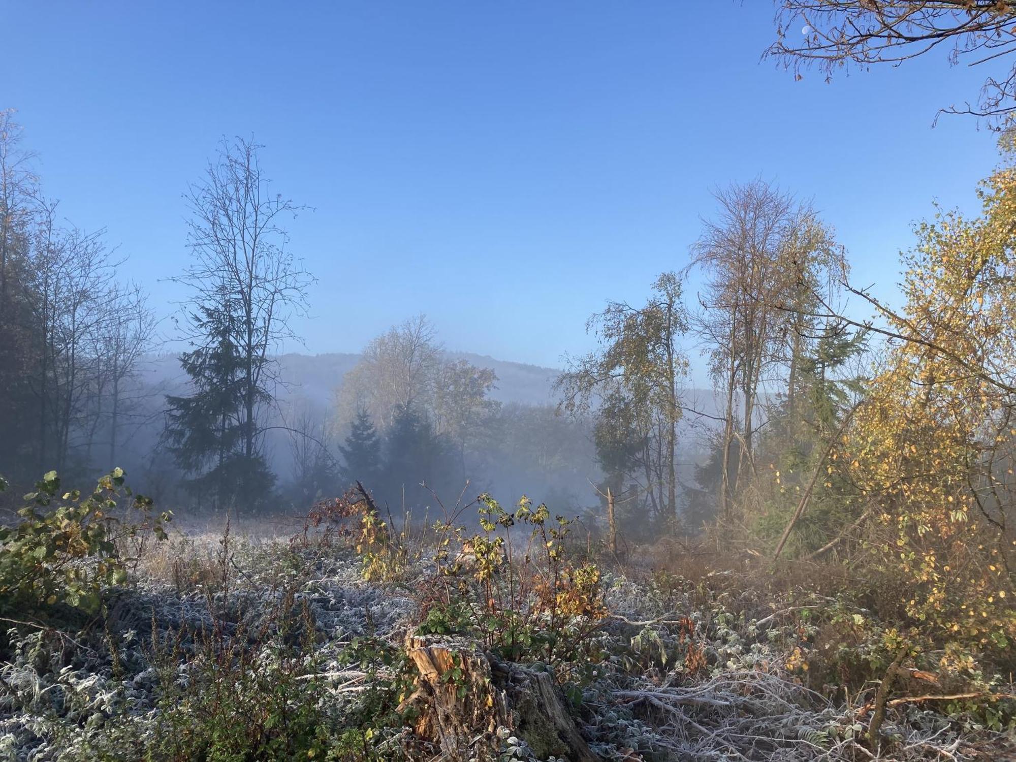Gittas Paradiesperle Niederdreisbach Екстер'єр фото