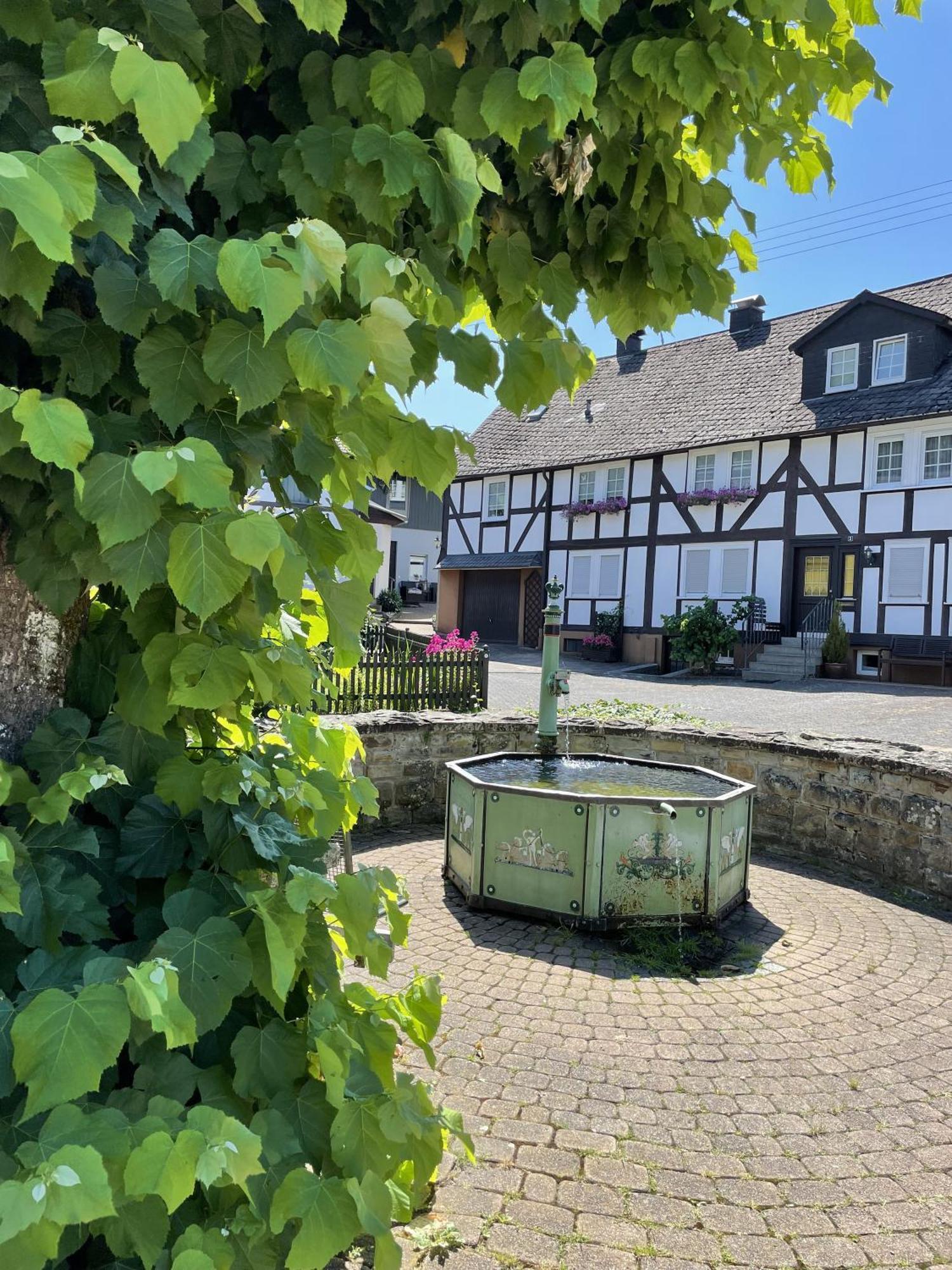 Gittas Paradiesperle Niederdreisbach Екстер'єр фото