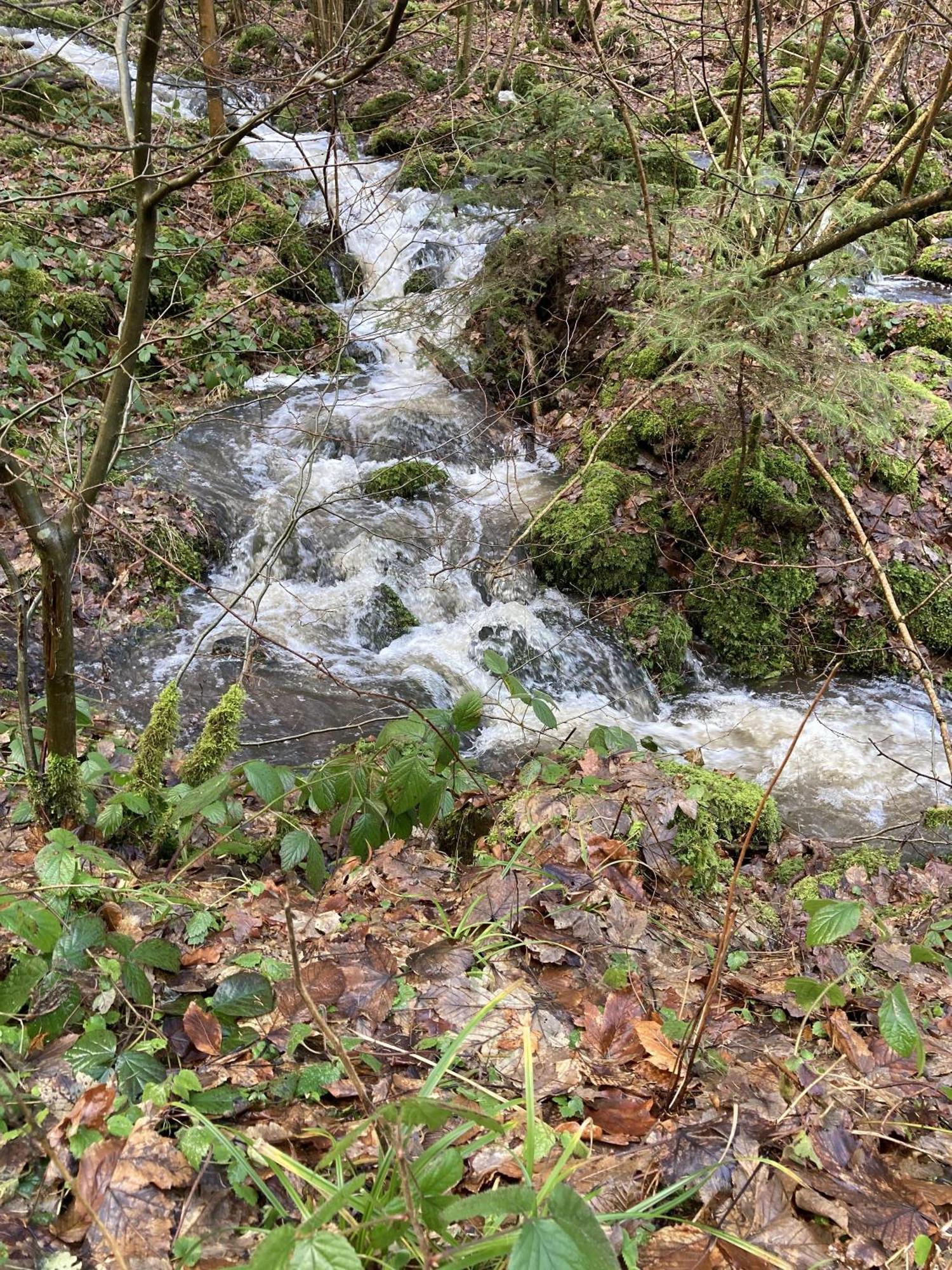 Gittas Paradiesperle Niederdreisbach Екстер'єр фото